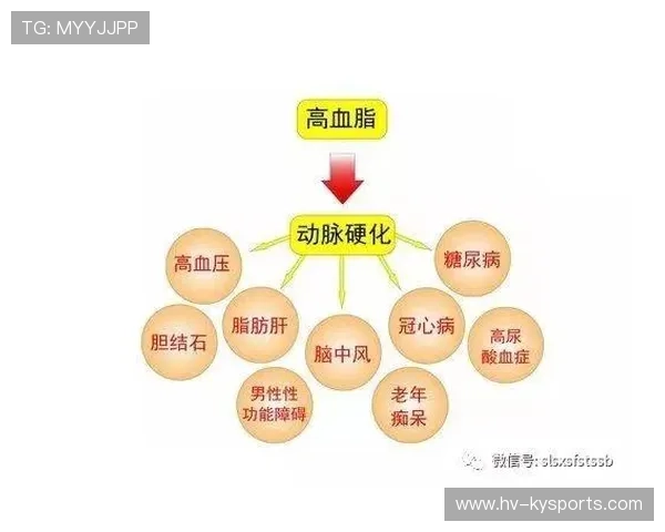 琑队如何建立青训到职业队的输送渠道，青训队啥意思